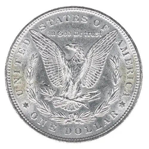 Morgan Silver Dollar (2)
