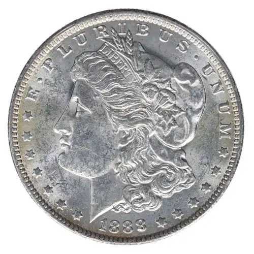 Morgan Silver Dollar (2)