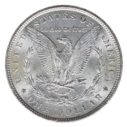 Morgan Silver Dollar (2)