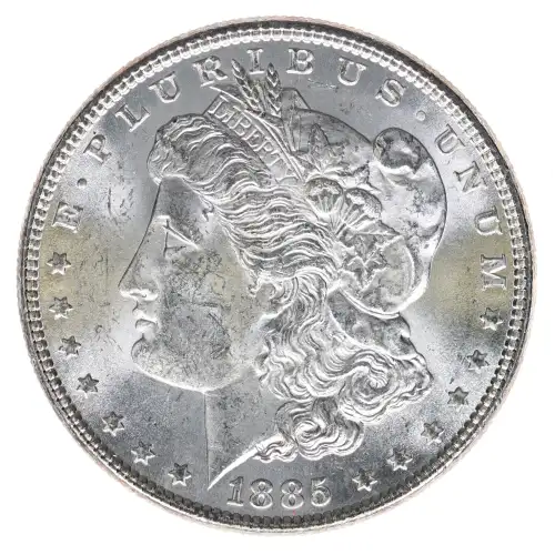 Morgan Silver Dollar