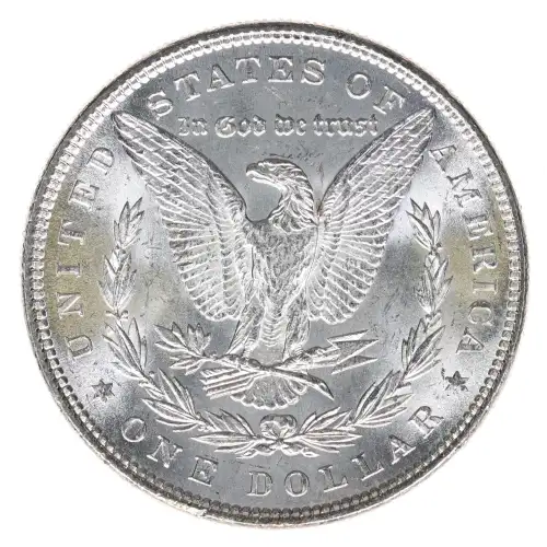 Morgan Silver Dollar (2)