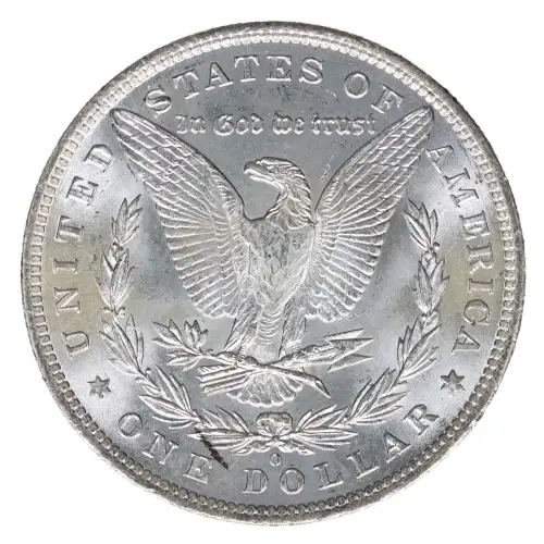 Morgan Silver Dollar (2)