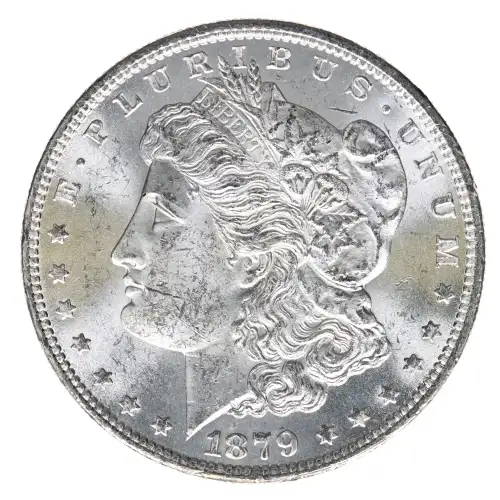 Morgan Silver Dollar (2)
