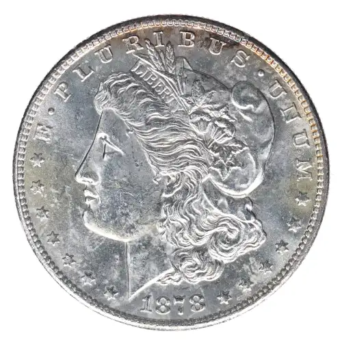 Morgan Silver Dollar (2)