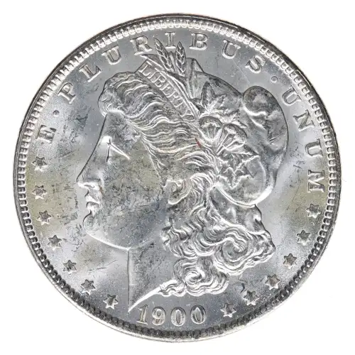 Morgan Silver Dollar
