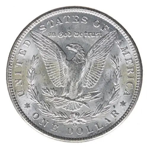 Morgan Silver Dollar (2)
