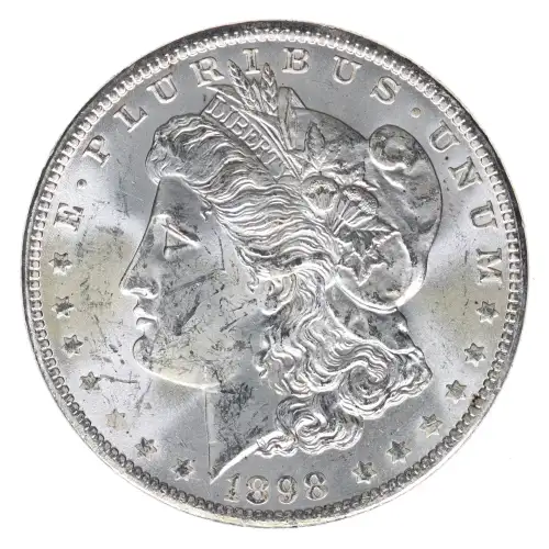 Morgan Silver Dollar (2)