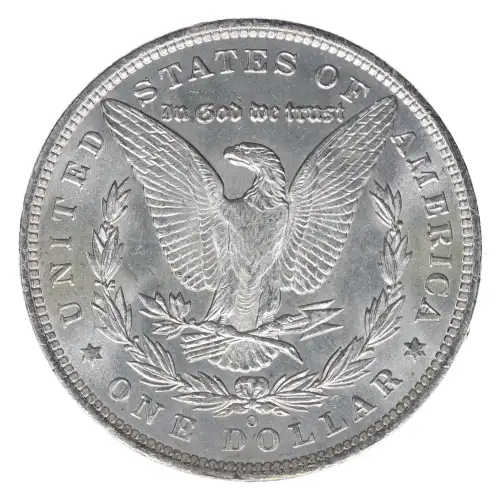 Morgan Silver Dollar (2)