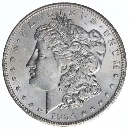 Morgan Silver Dollar (2)