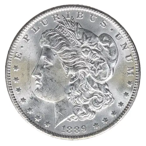 Morgan Silver Dollar