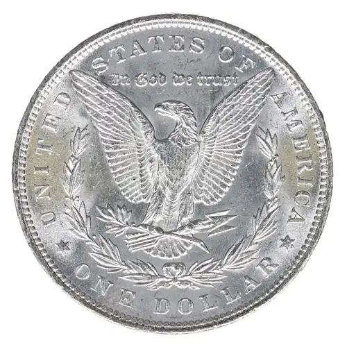 Morgan Silver Dollar (2)