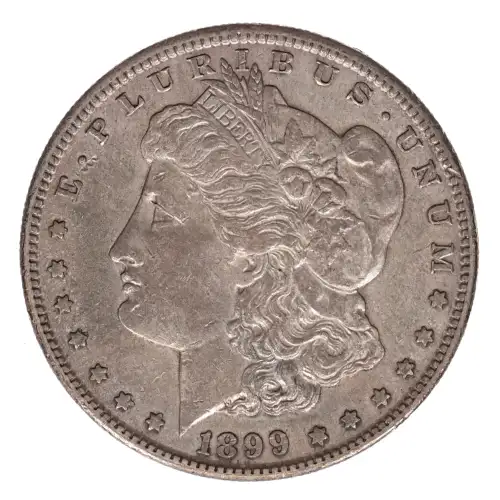 Morgan Silver Dollar (2)