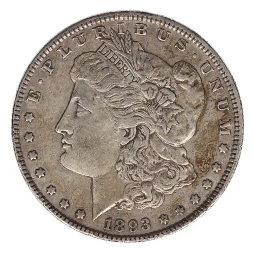 Morgan Silver Dollar (2)