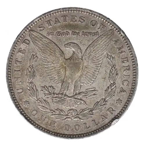 Morgan Silver Dollar