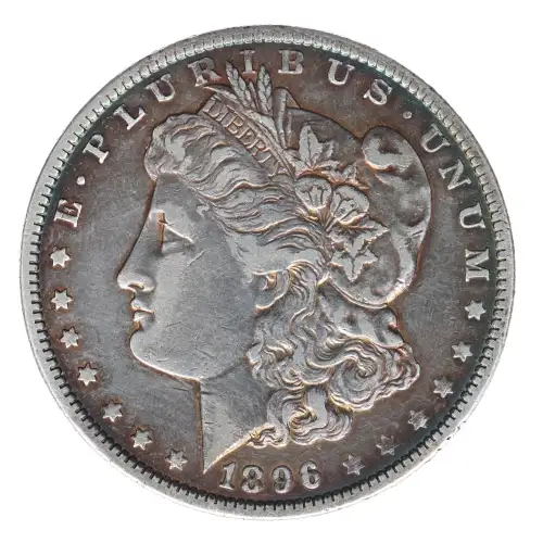 Morgan Silver Dollar (2)