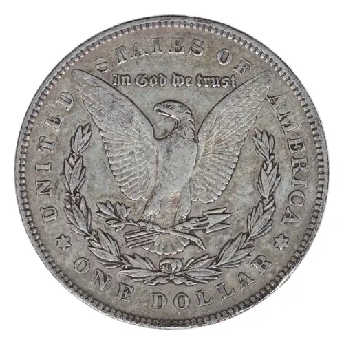 Morgan Silver Dollar (2)
