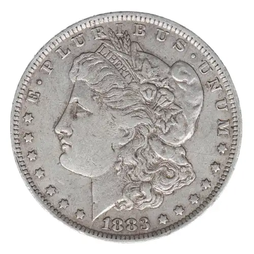 Morgan Silver Dollar (2)