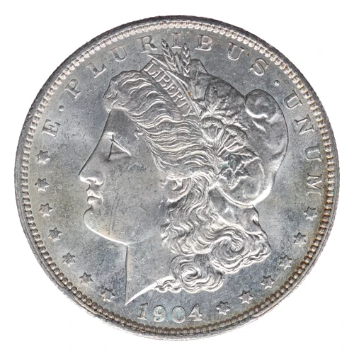 Morgan Silver Dollar (2)