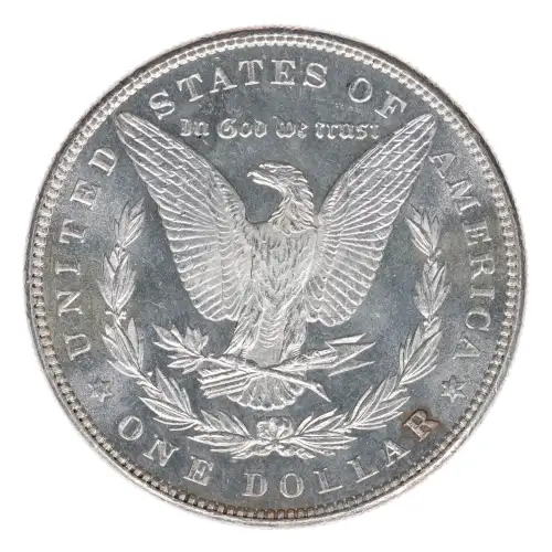 Morgan Silver Dollar (2)