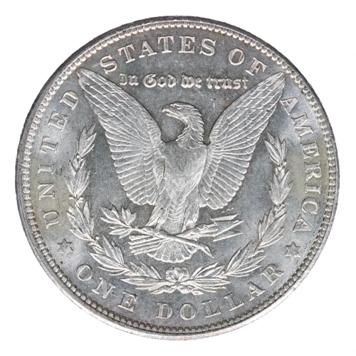 Morgan Silver Dollar (2)