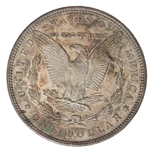 Morgan Silver Dollar (2)