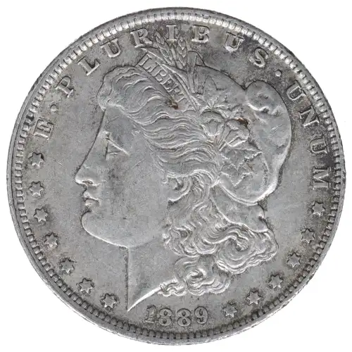 Morgan Silver Dollar