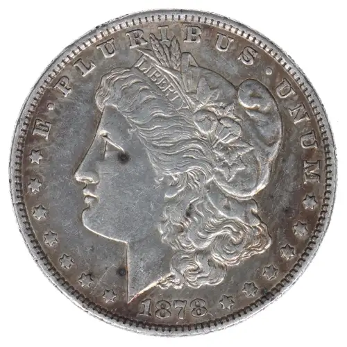 Morgan Silver Dollar