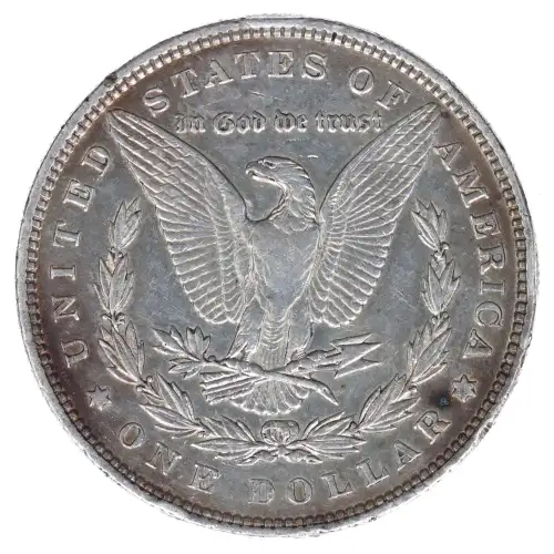 Morgan Silver Dollar (2)