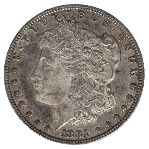 Morgan Silver Dollar (2)