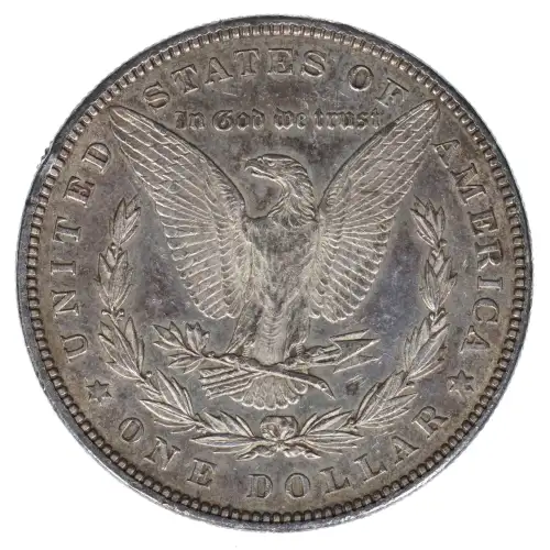 Morgan Silver Dollar