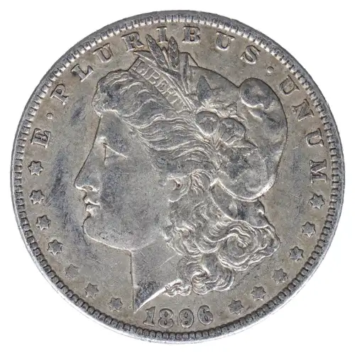 Morgan Silver Dollar (2)