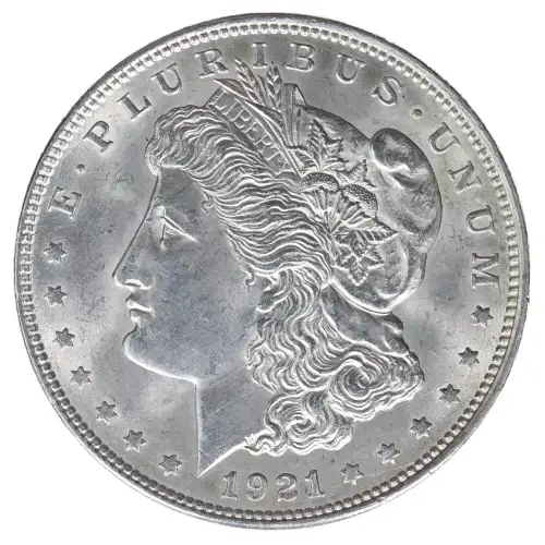 Morgan Silver Dollar (2)