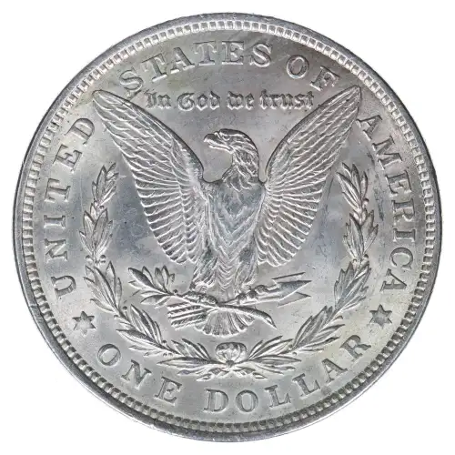 Morgan Silver Dollar