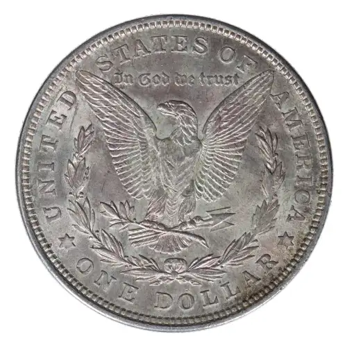 Morgan Silver Dollar