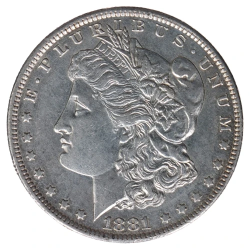 Morgan Silver Dollar (2)