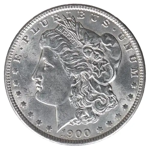 Morgan Silver Dollar (2)