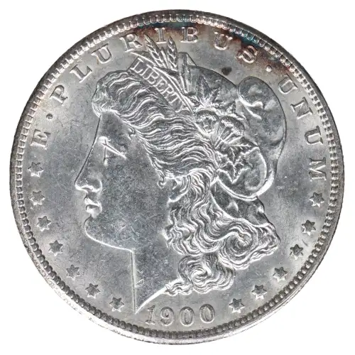 Morgan Silver Dollar (2)