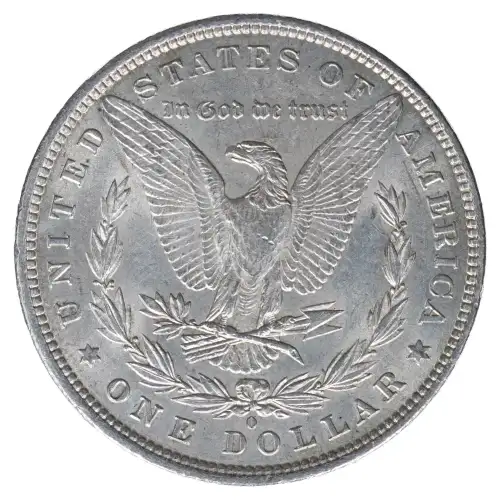 Morgan Silver Dollar (2)