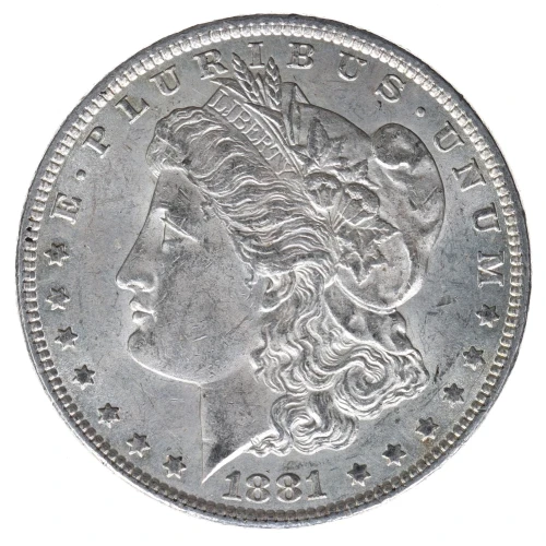 Morgan Silver Dollar (2)