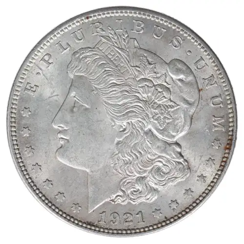 Morgan Silver Dollar