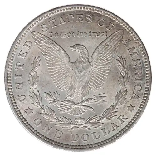 Morgan Silver Dollar (2)