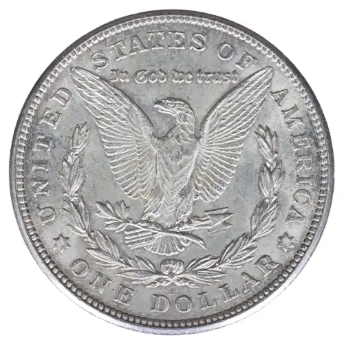Morgan Silver Dollar (2)