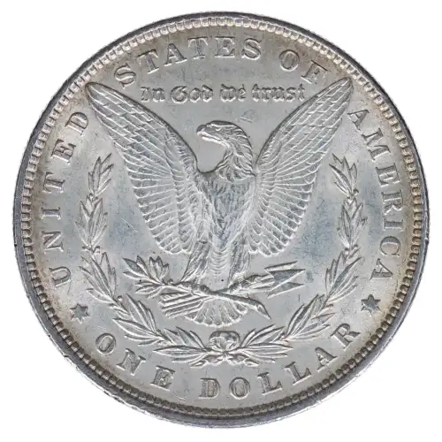 Morgan Silver Dollar (2)