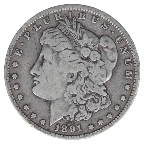Morgan Silver Dollar (2)