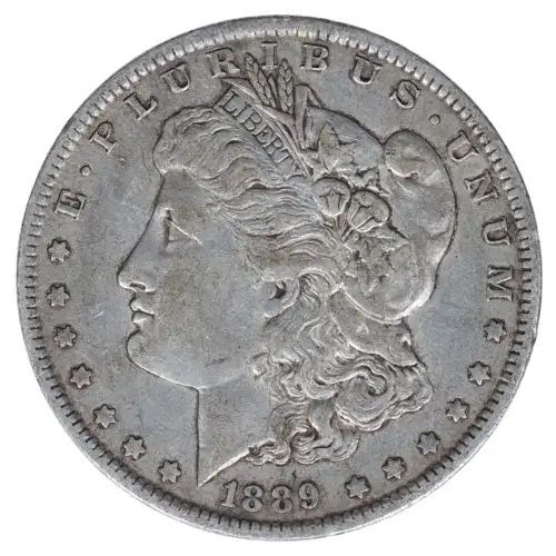 Morgan Silver Dollar
