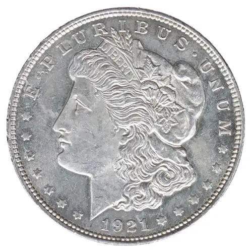 Morgan Silver Dollar (2)