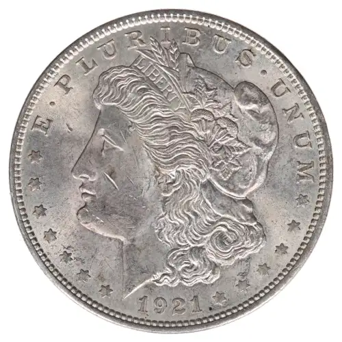 Morgan Silver Dollar (2)