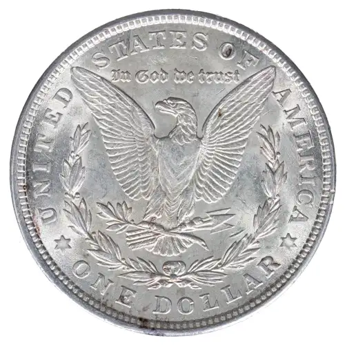 Morgan Silver Dollar (2)