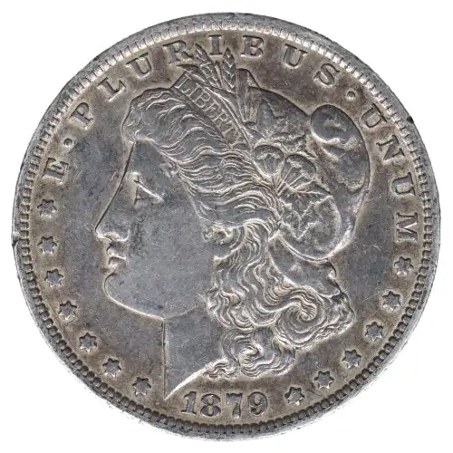 Morgan Silver Dollar (2)