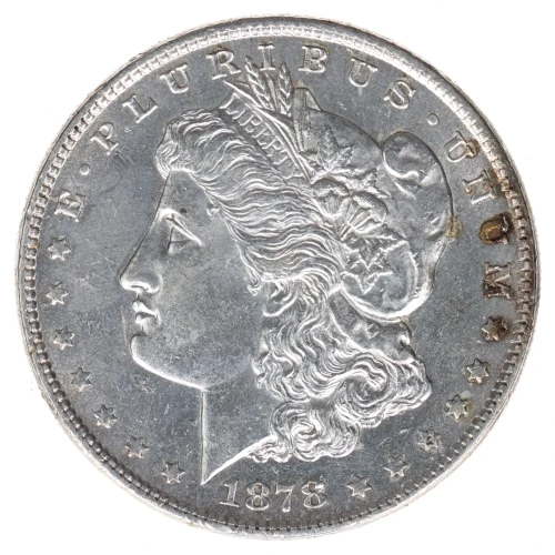 Morgan Silver Dollar (2)